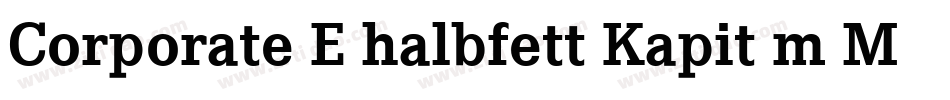 Corporate E halbfett Kapit m Medziff字体转换